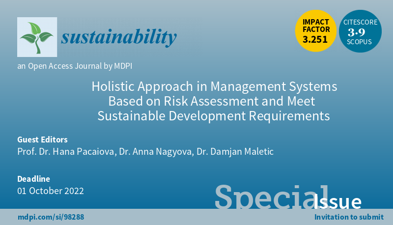 Holistic approach in Management Systems