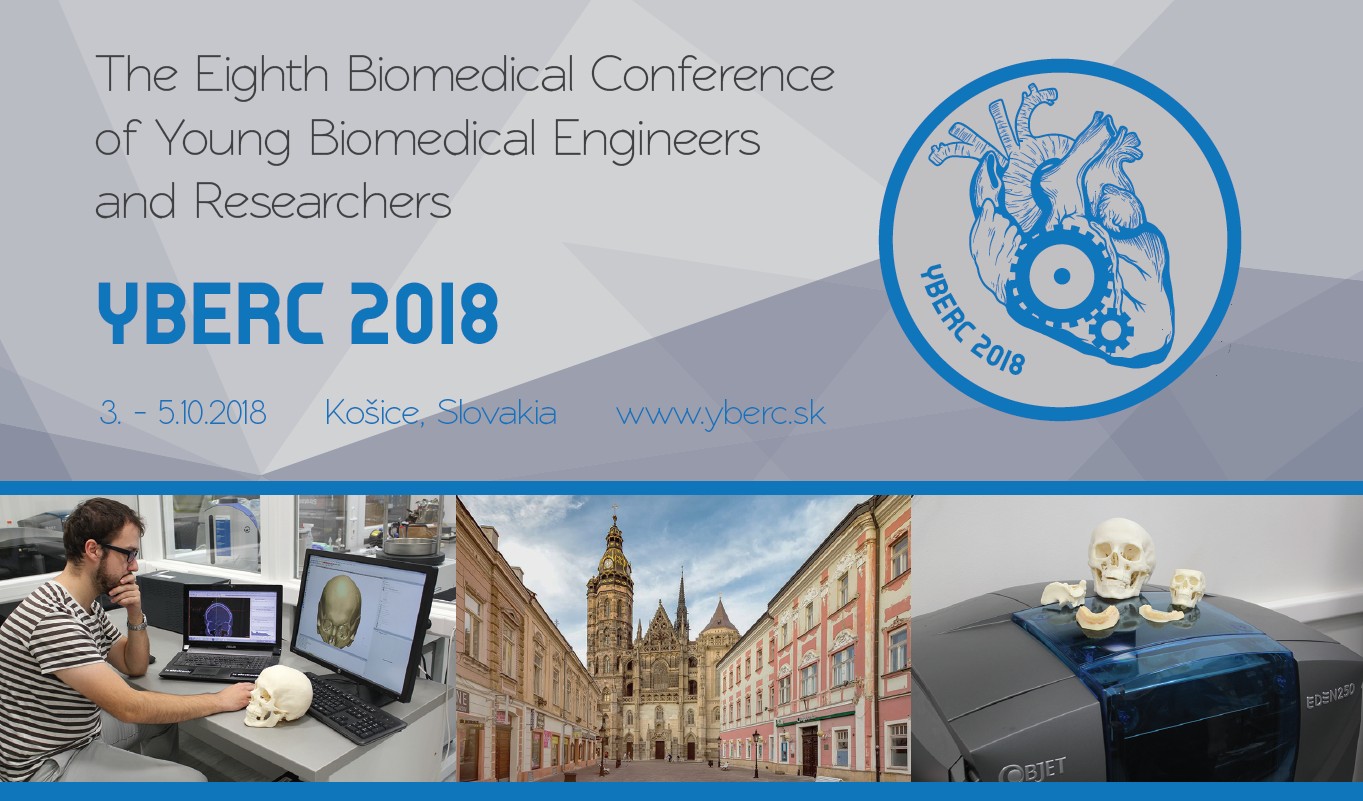 yberc 2018 banner